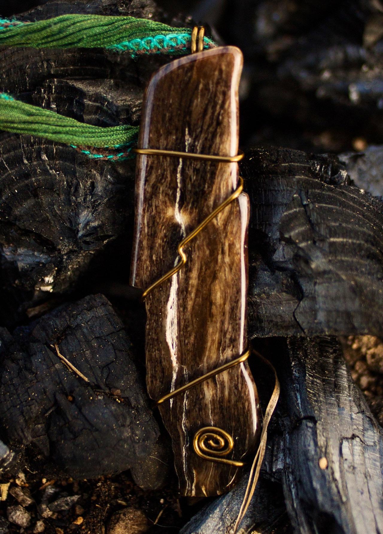 Petrified wood pendant