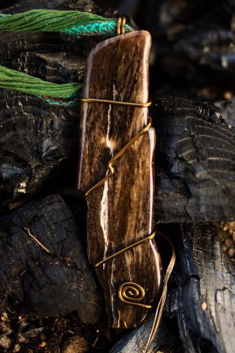 Petrified wood pendant